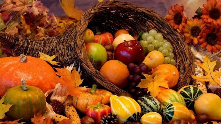 autum-harvest-pic