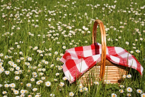picnic-basket