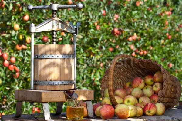 43029213_10215291704023220_7982468822974070784_n